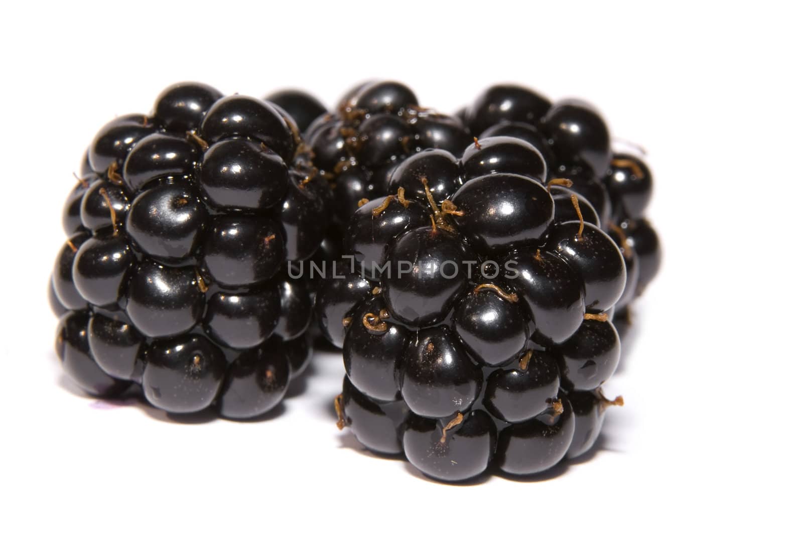 close up of blackberries on a white background
