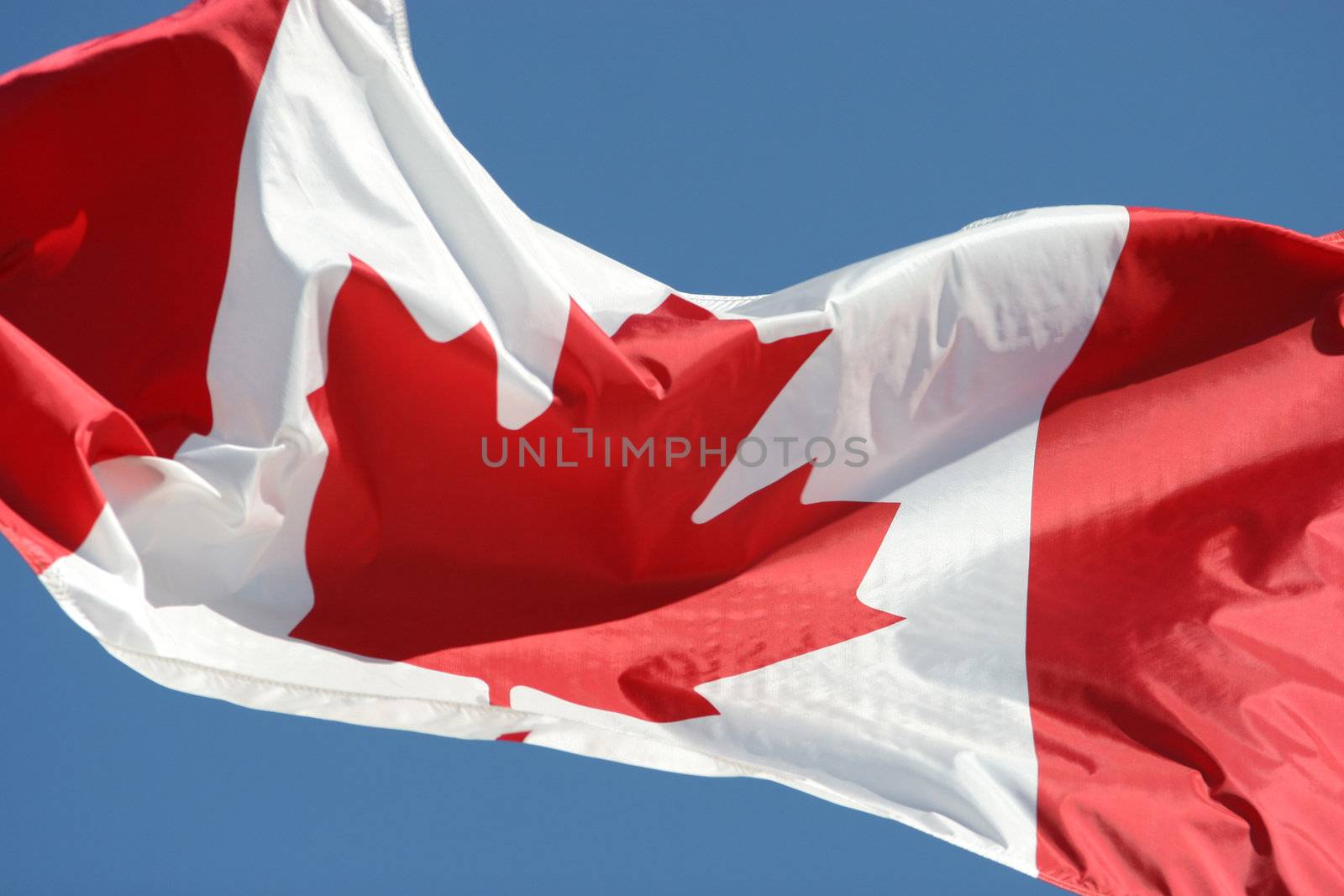 Waving flag of Canada by vladacanon