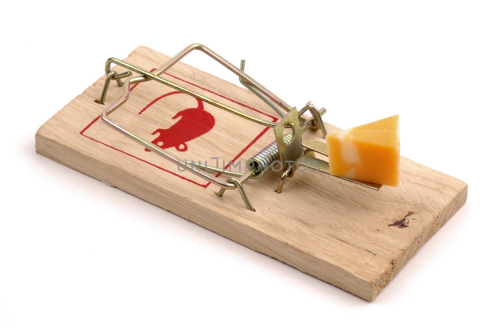 Mousetrap baited with cheese on a white background.