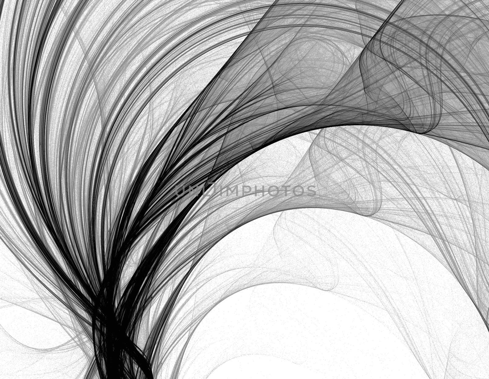 Elegant black fractal on a white background.