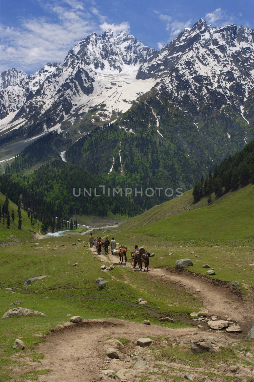 Four men and four horses follow the path towards the Himalayas
