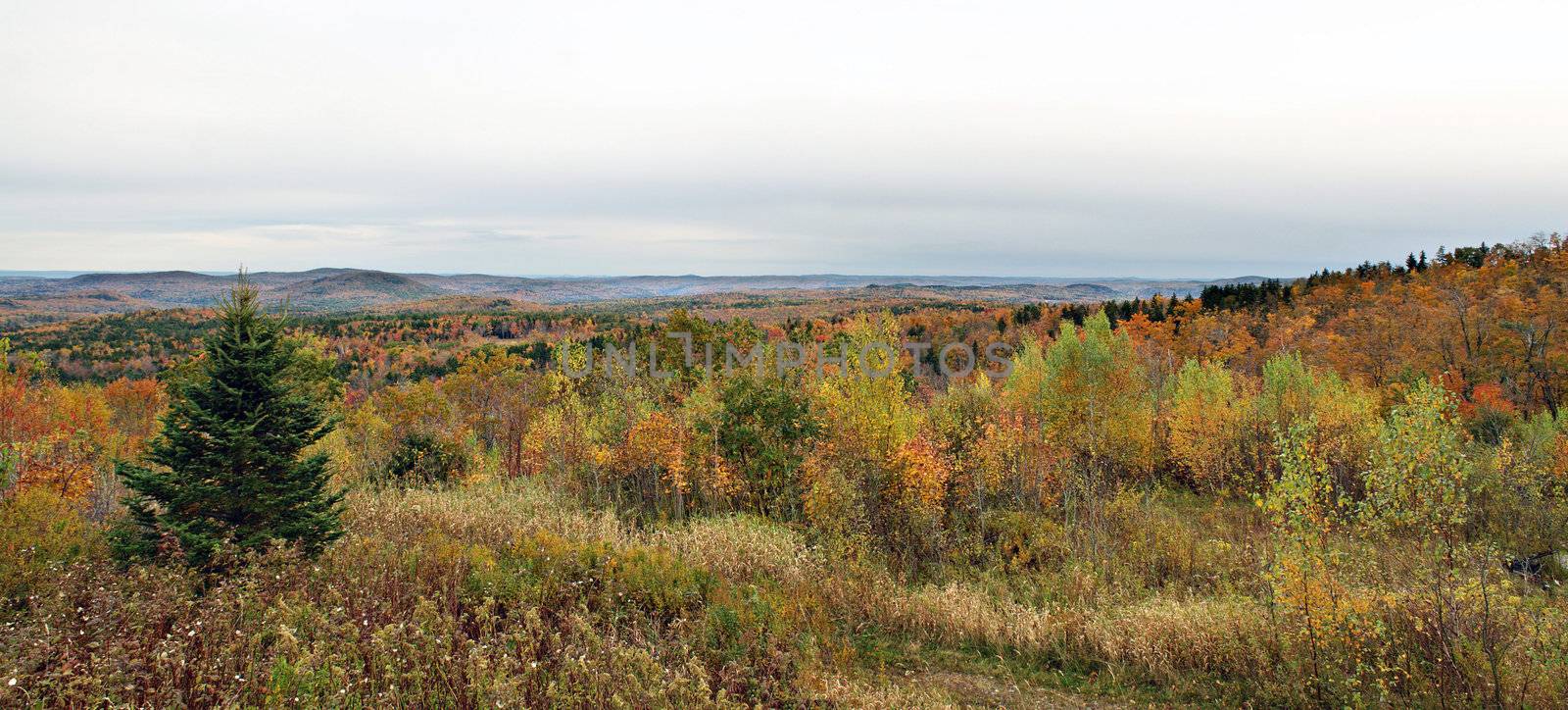 A panoramic view of Vermont during peak fall foliage.