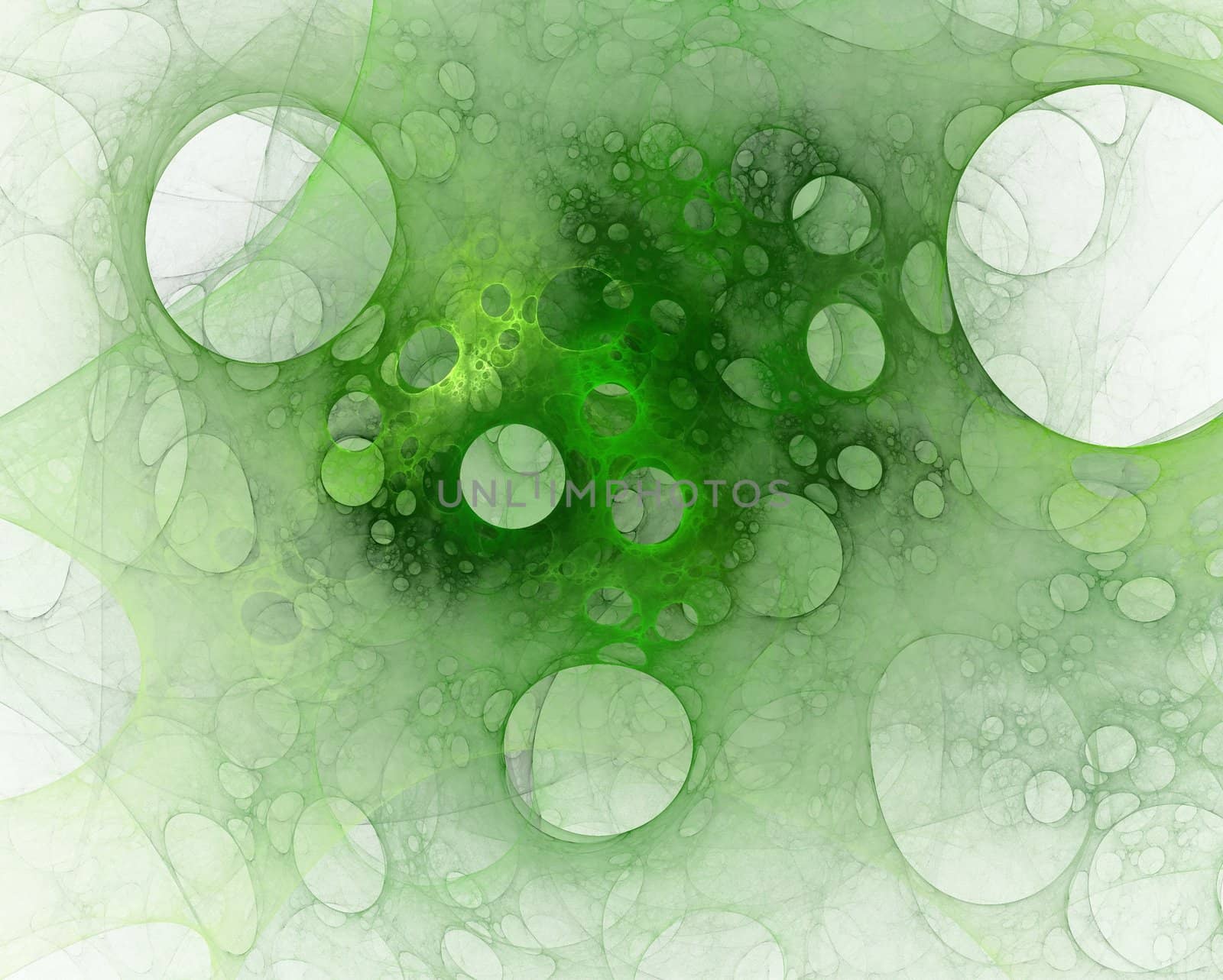 Green net by tomatto