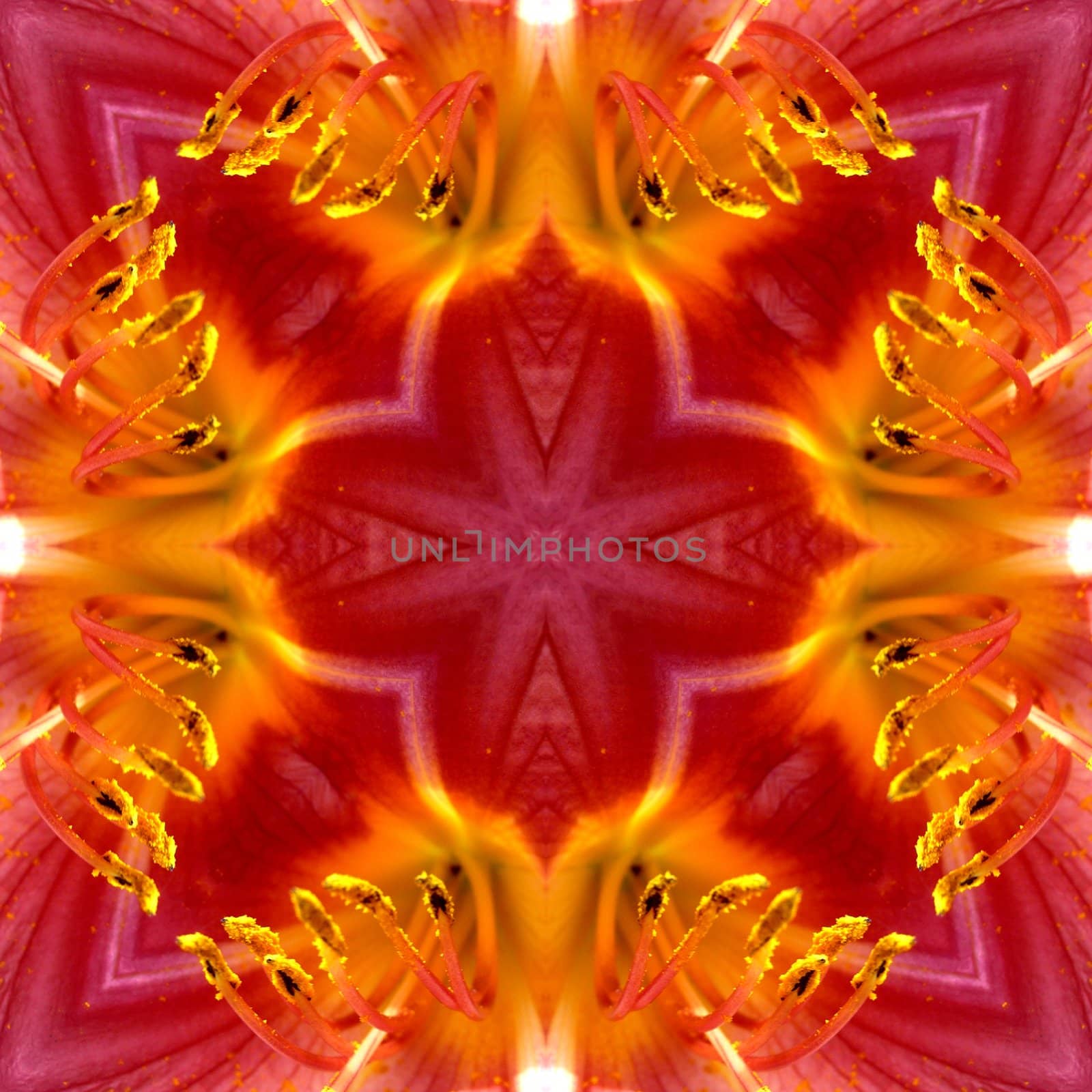A seamless texture background pattern image of some flower petals.