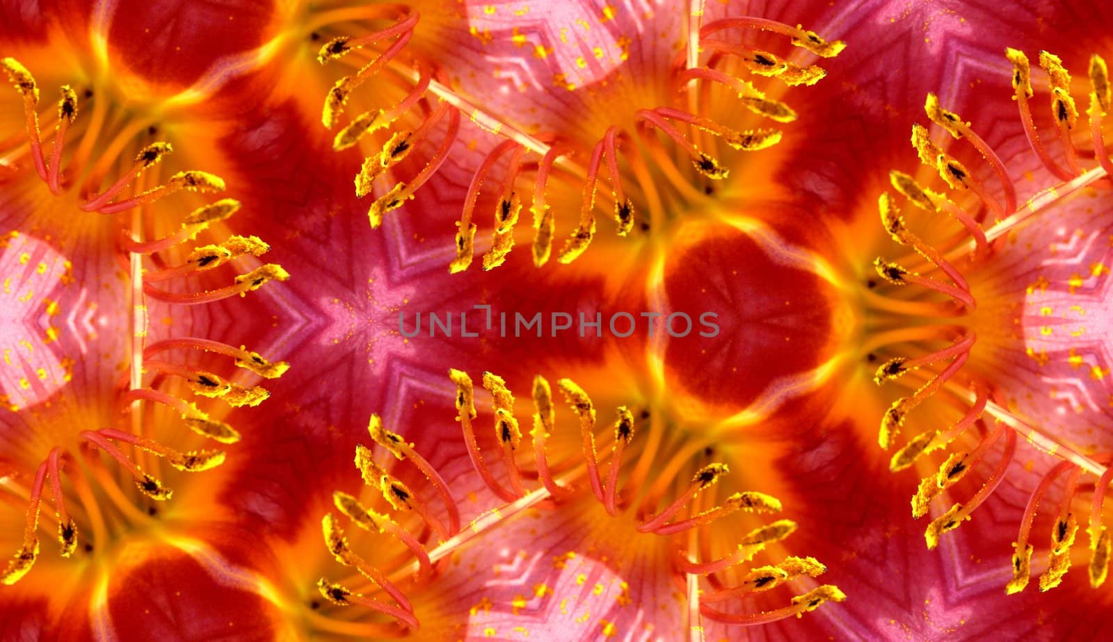 A seamless texture background pattern image of some flower petals.