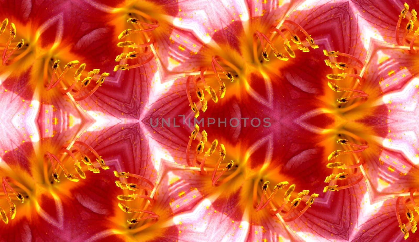 A seamless texture background pattern image of some flower petals.