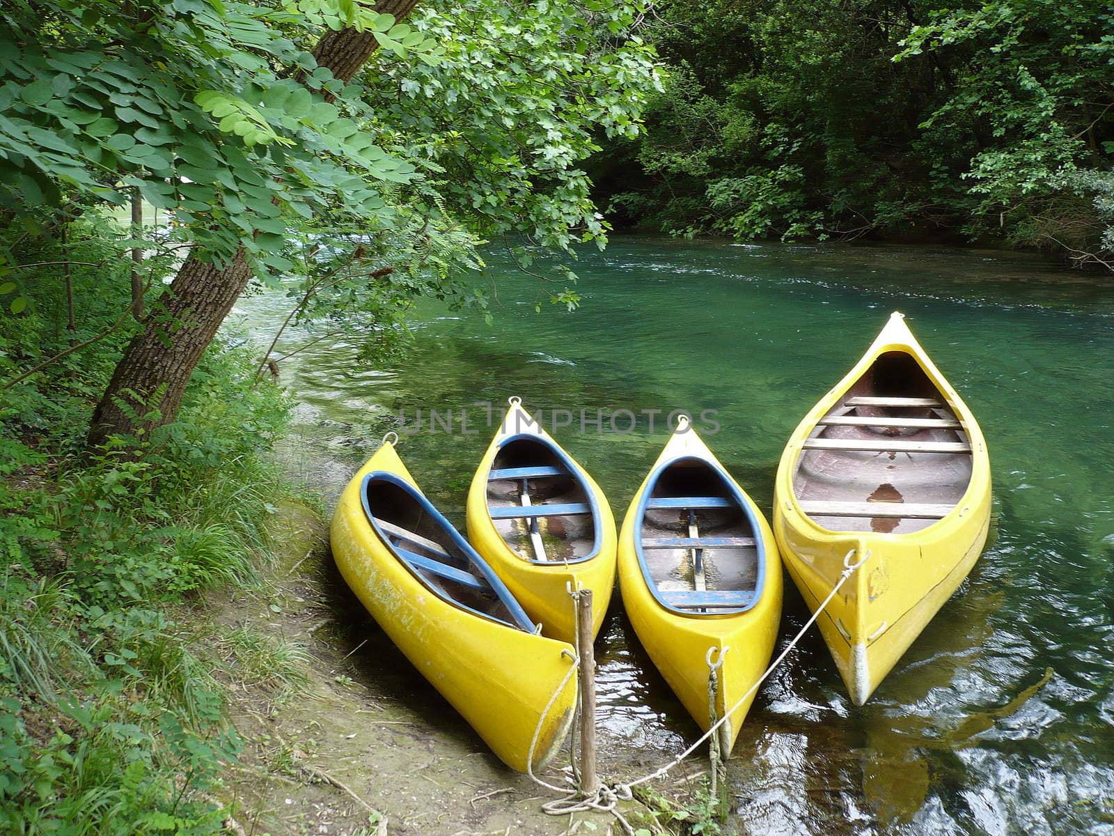 Four yellow boats 