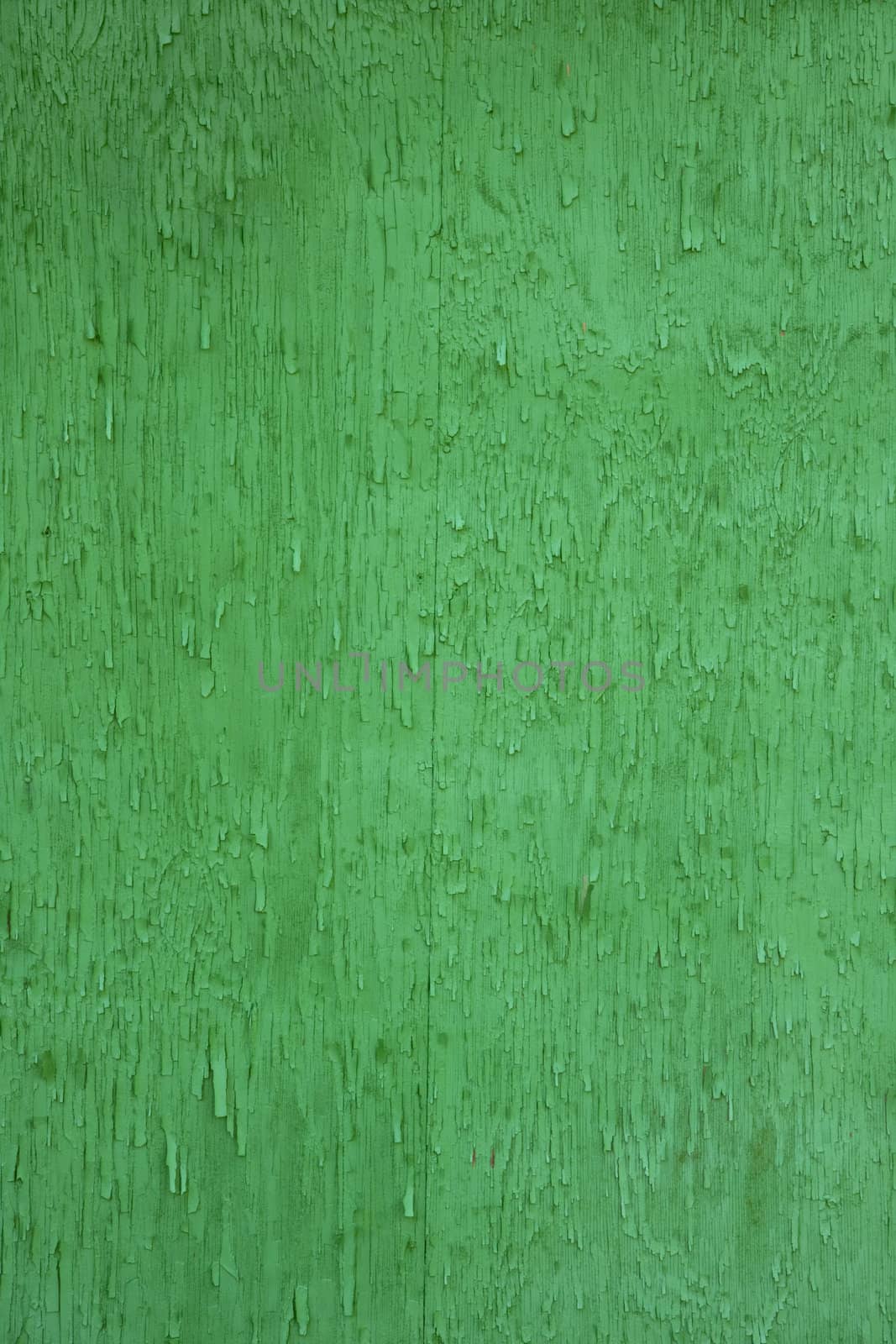 rough wood background in intense green color by PixelsAway