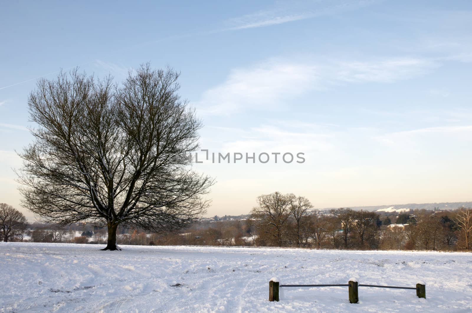 A field covered in snow with trees in the background