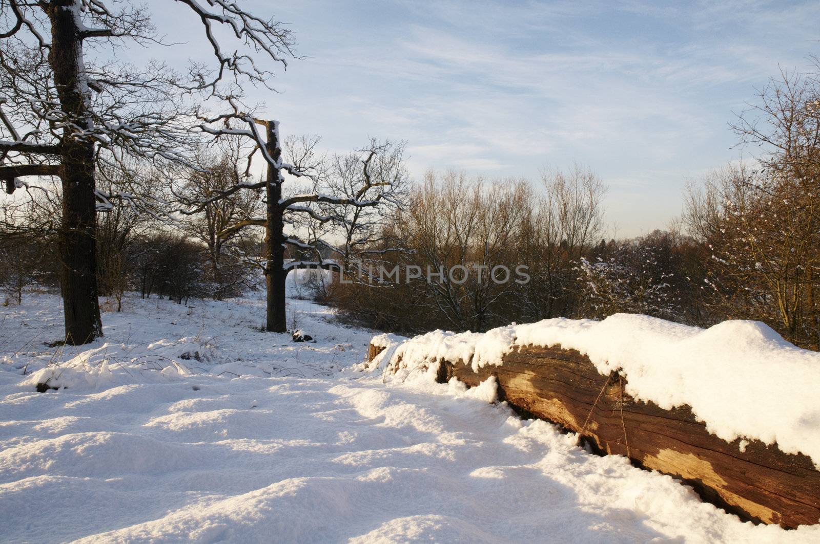 A fallen tree trunk covered in snow