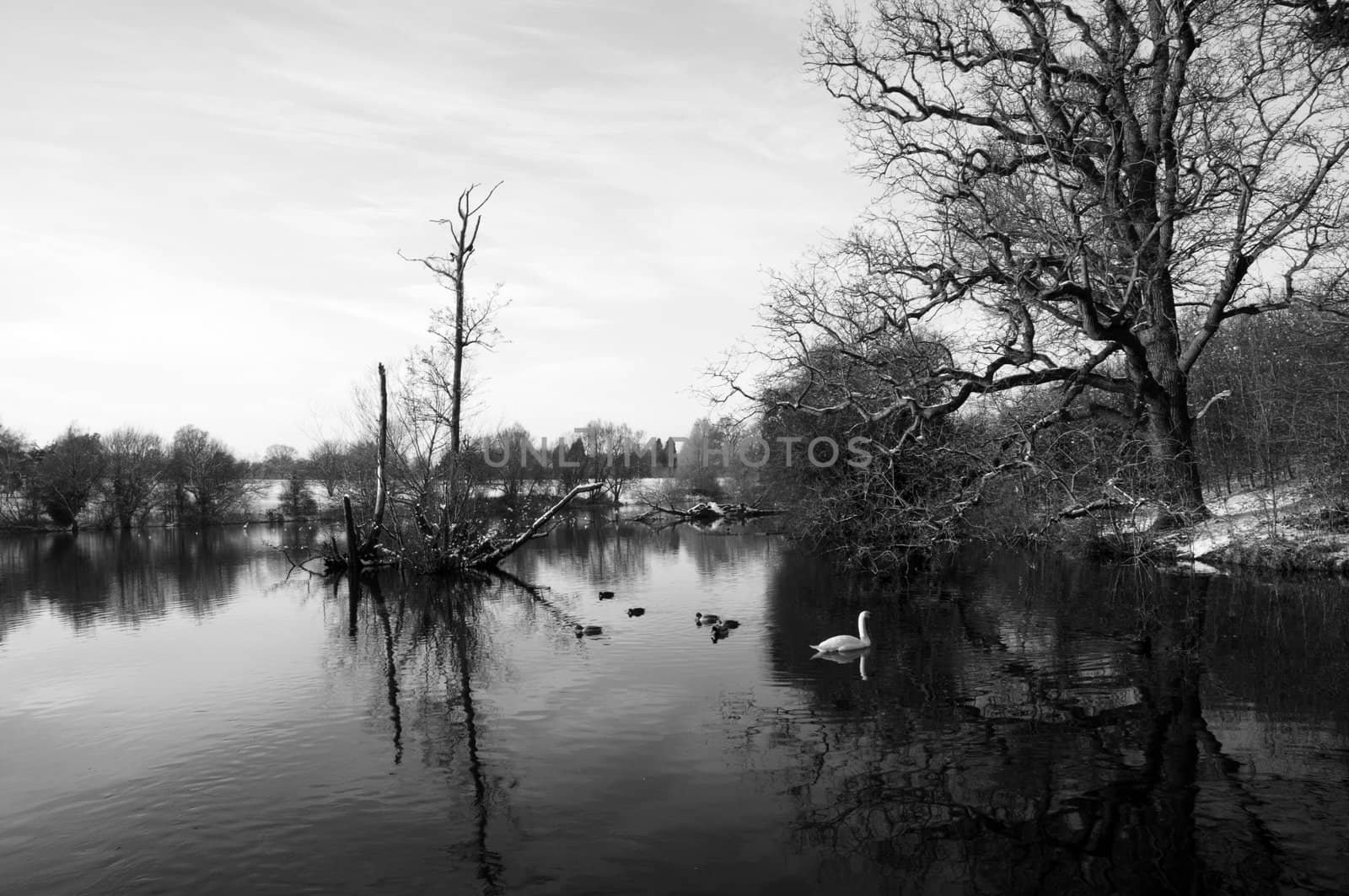 A black and white image of a lake in winter