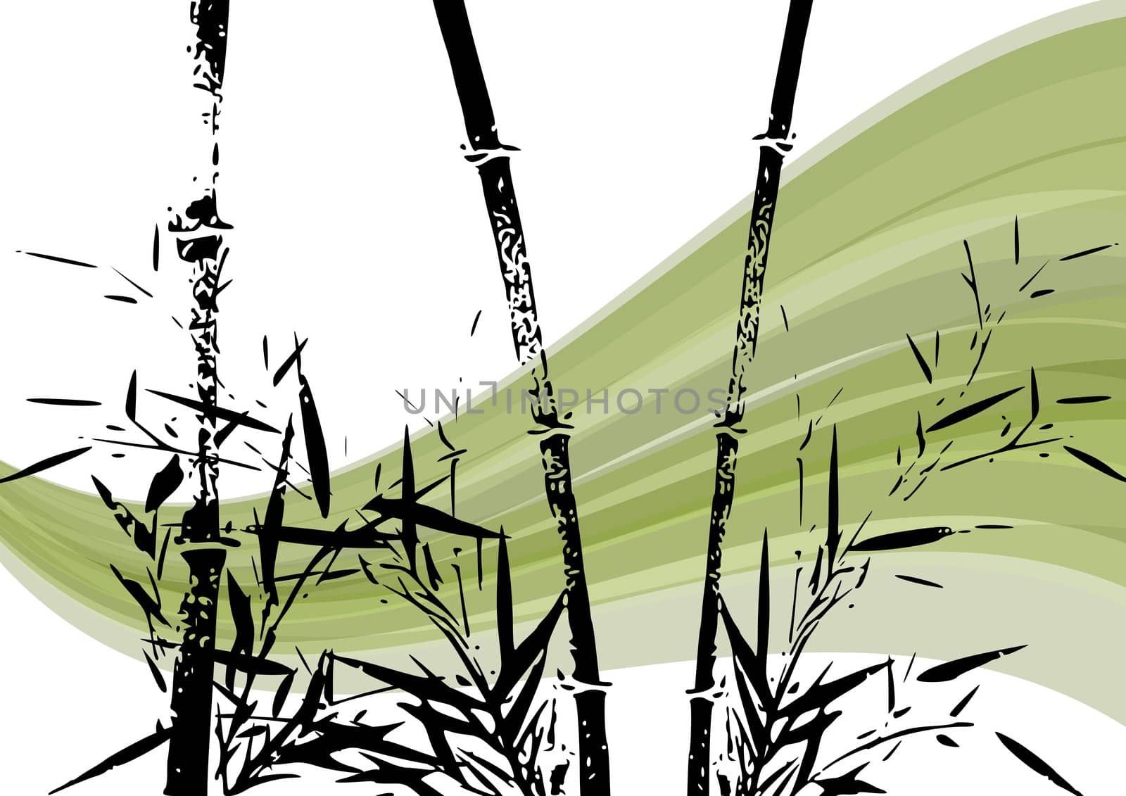 Bamboo Illustration by jasony00