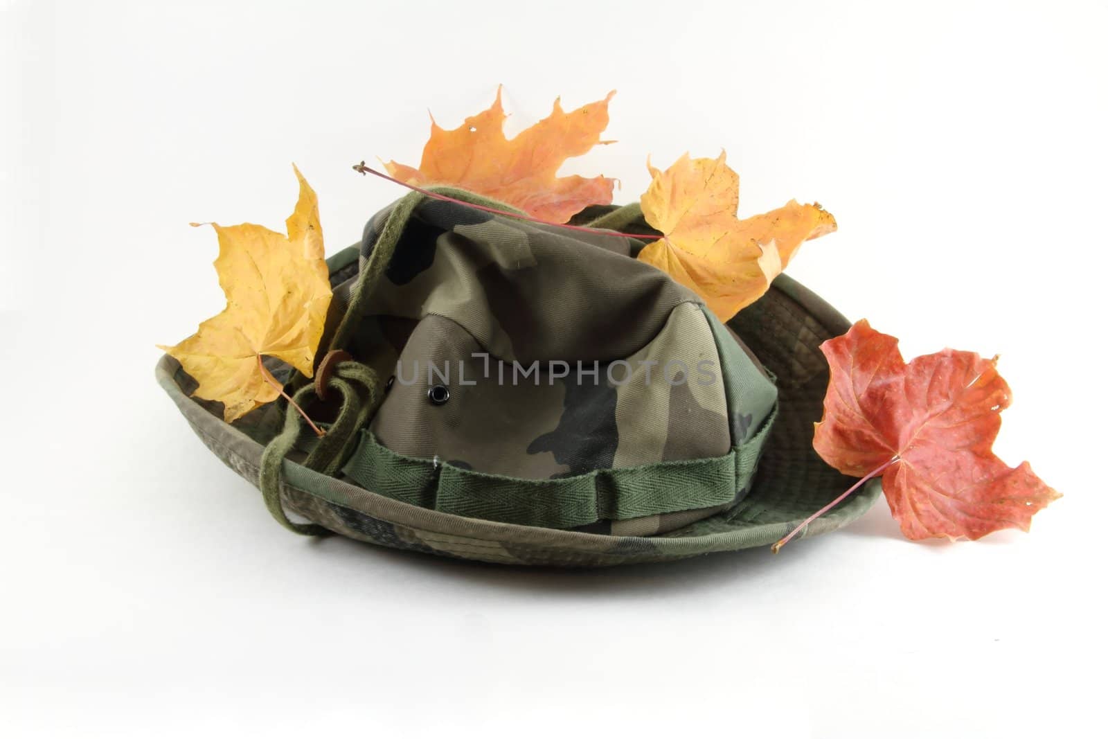 A camouflage hat, isolated on white with leaves.