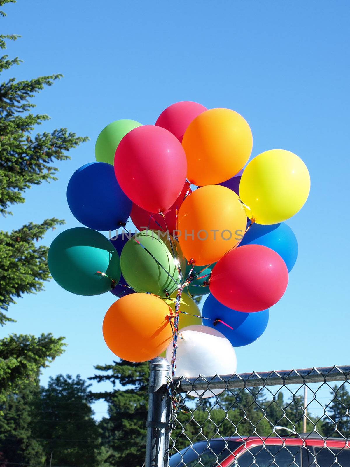 A bouquet of colorful balloons floating over a fence