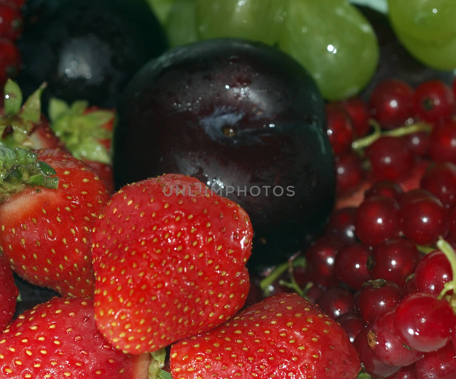 a macro shot of different fruits of summer