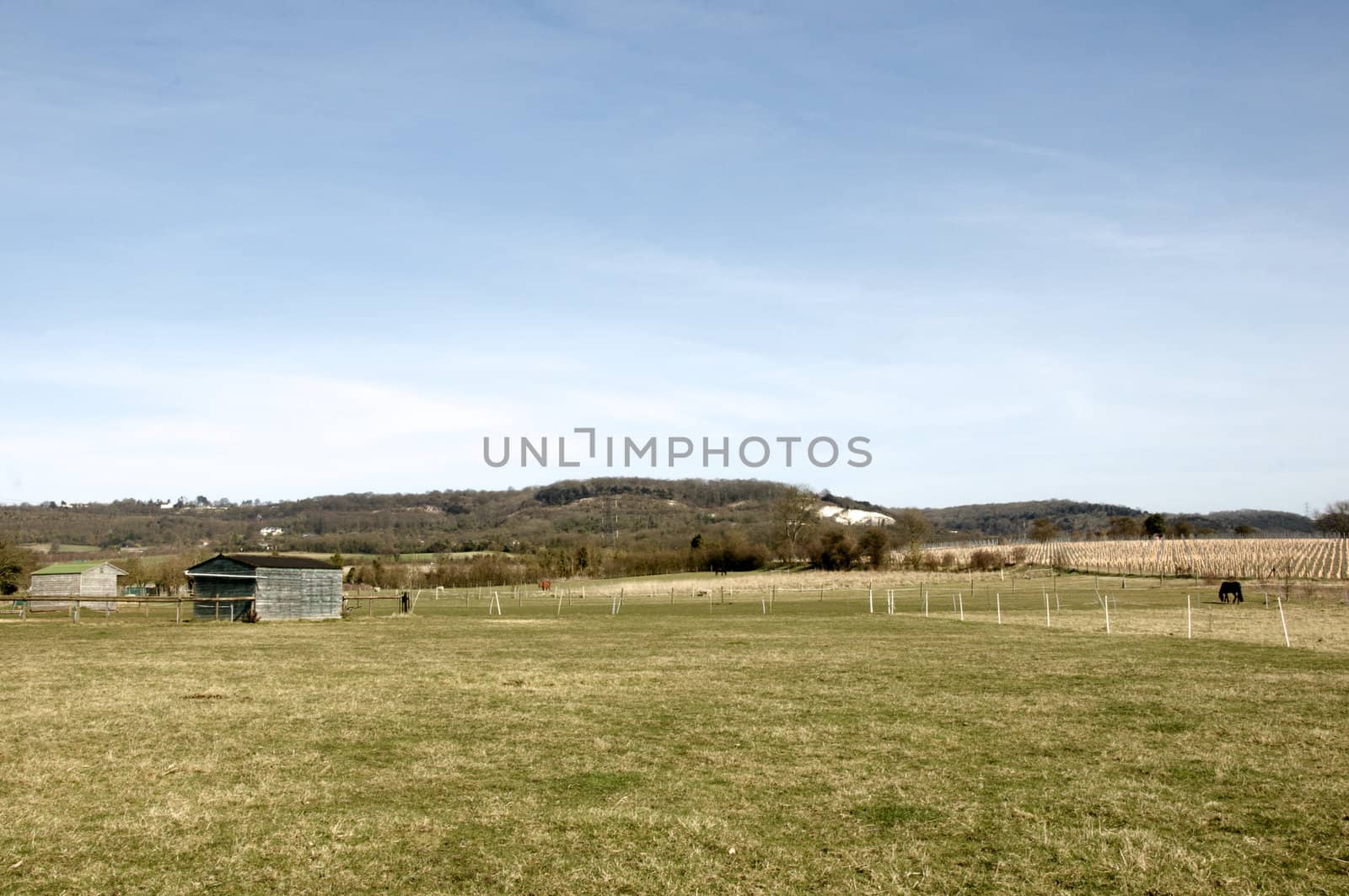 A shed in a field in the Kent countryside