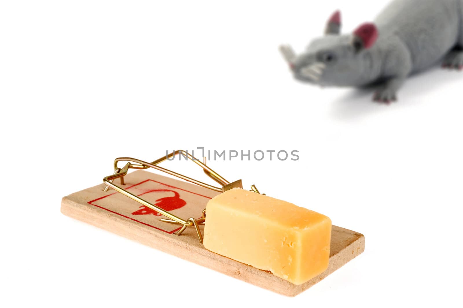 a mousetrap on white