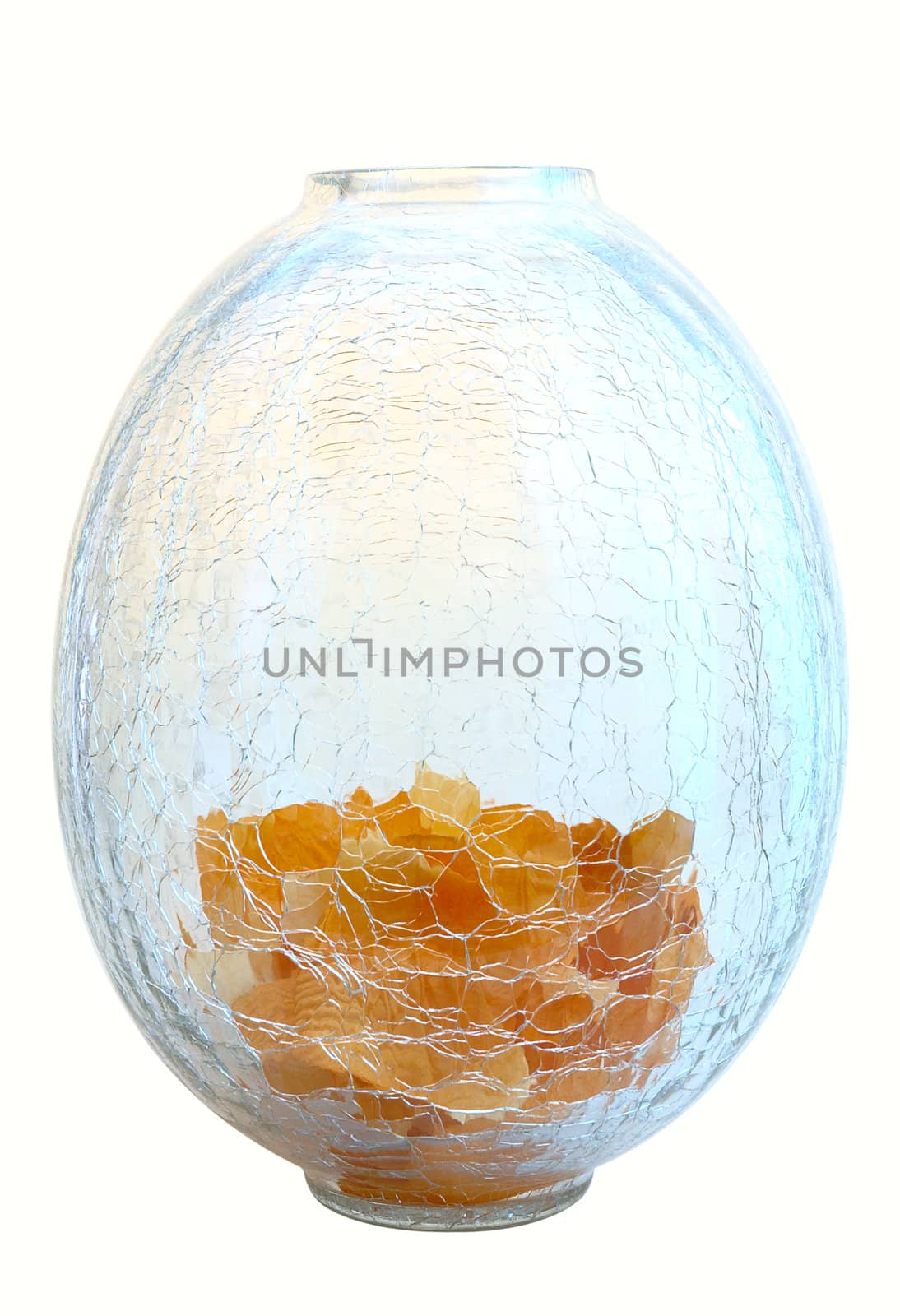 Orange flowers petals on cracked glass vase. Isolated background.