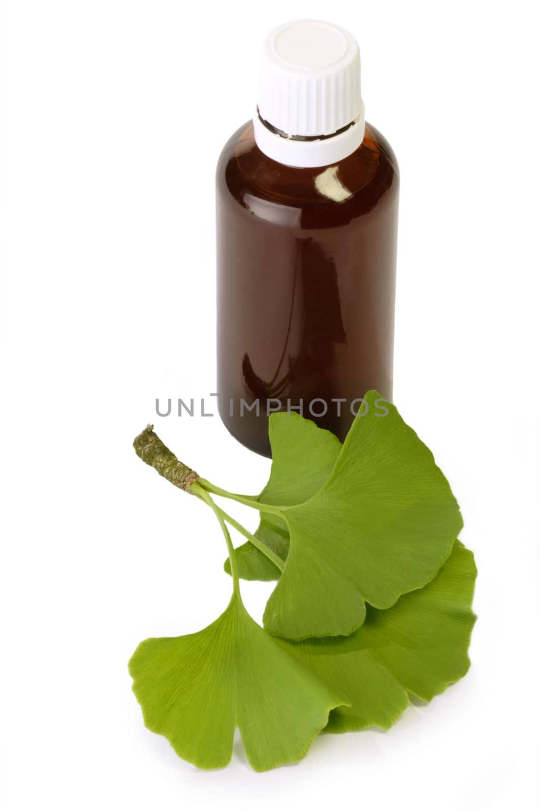 Medicine flasc and ginkgo leaves - isolated on white background