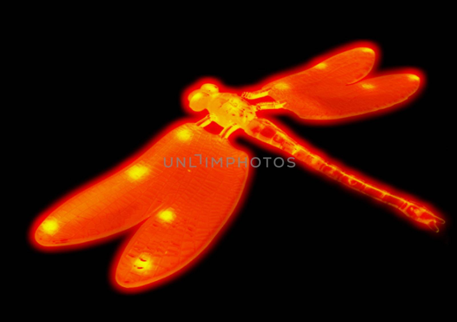 fiery dragonfly, red dragonfly, dragonfly flies, the wings of dragonflies, yellow wings, translucent tail, insect dragonfly, dragonfly toy