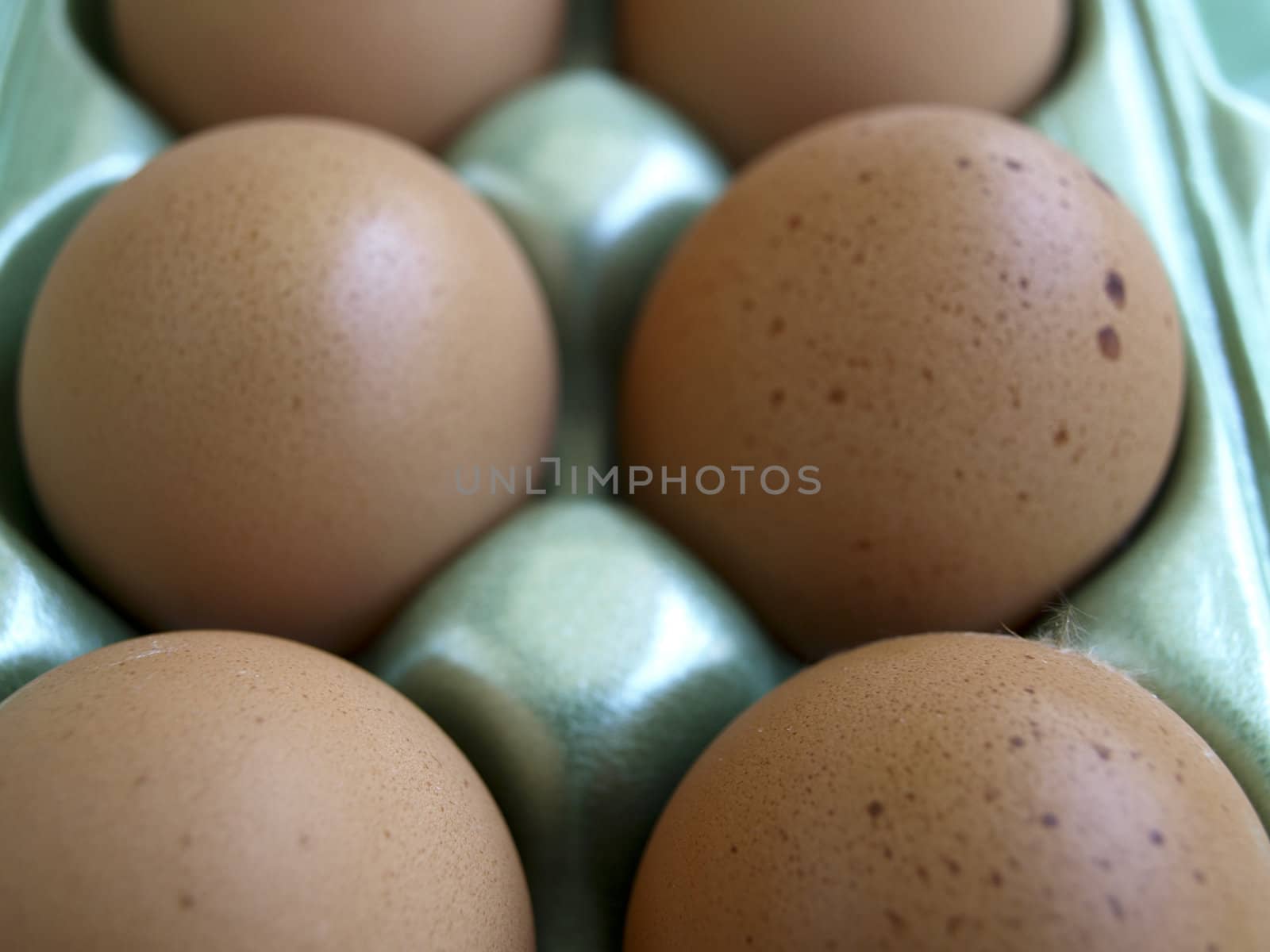 Box of eggs in closeup in their box