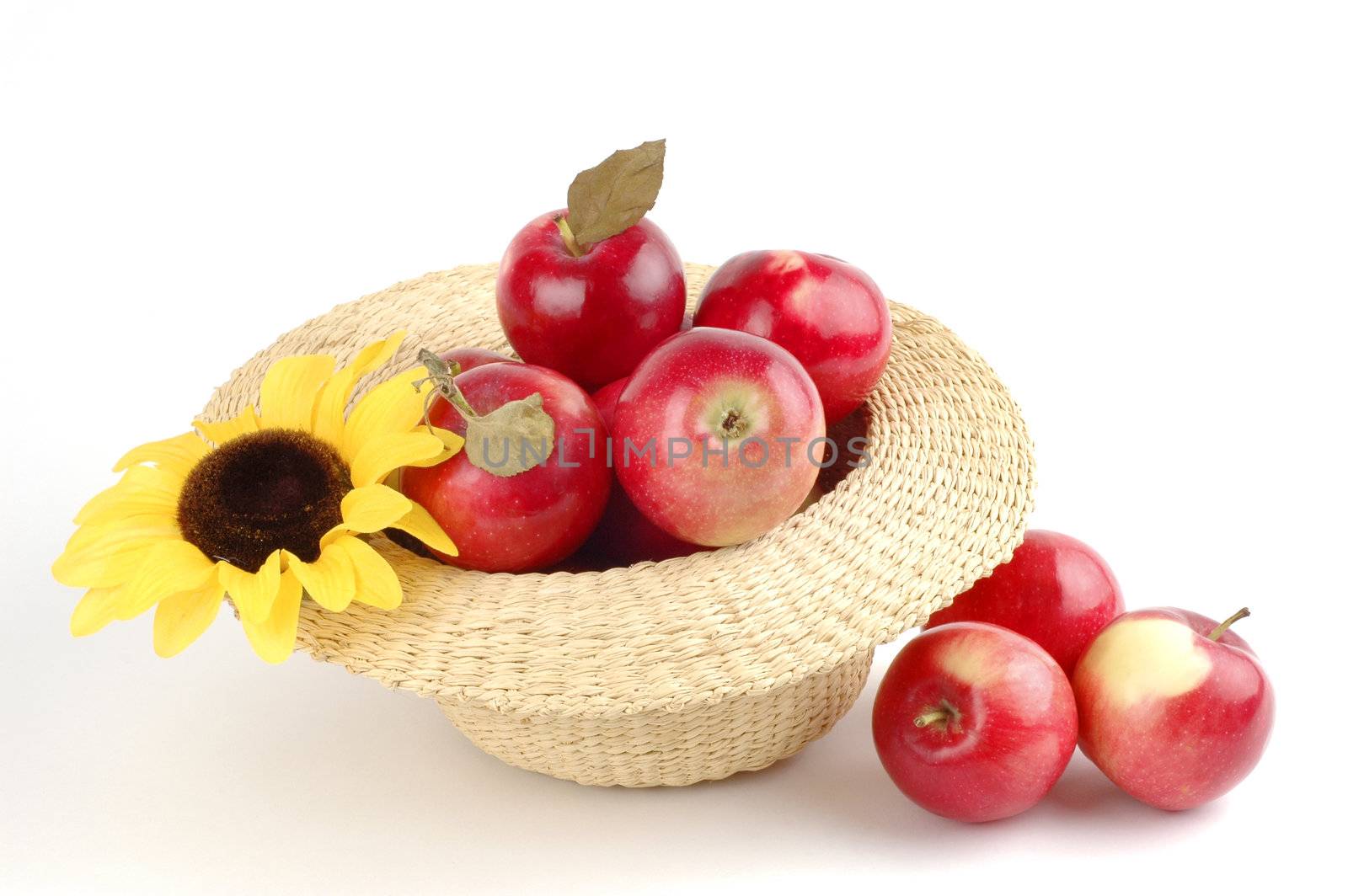Freshly picked macintosh apples in a straw hat.