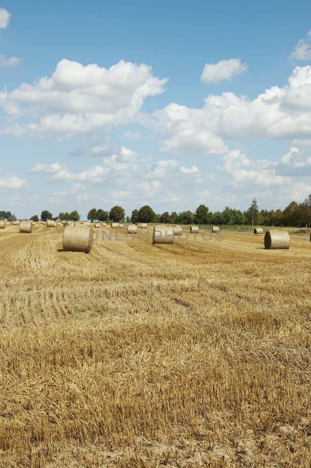 Hay bales by Nikonas