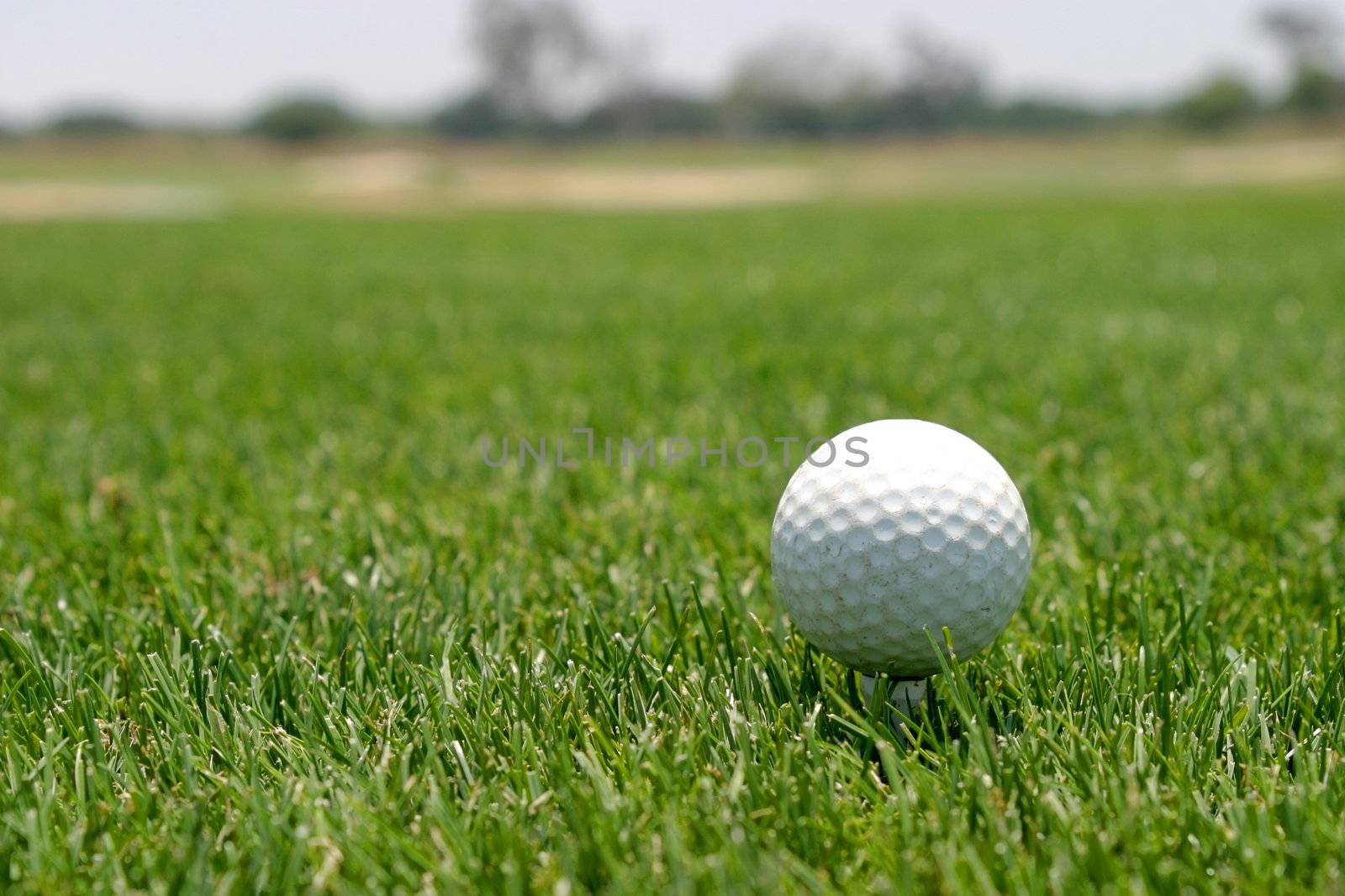 Close up of a golf ball on green lawn.