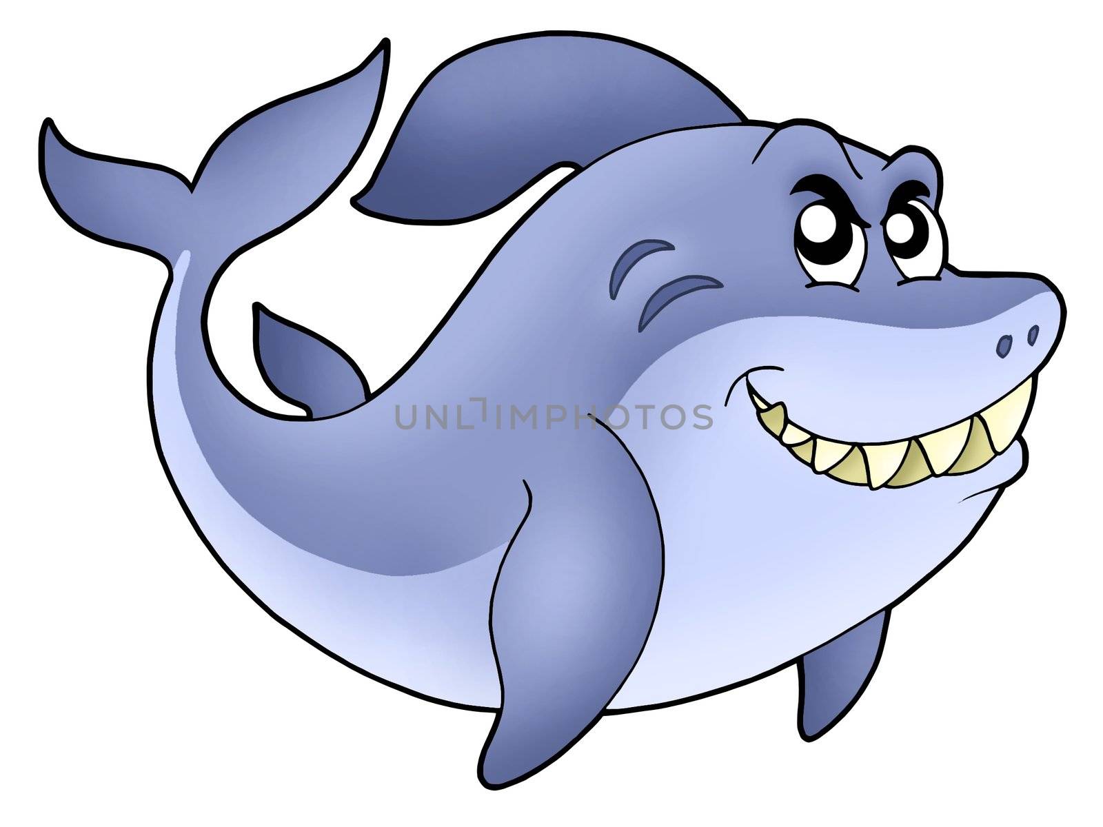 Big cartoon shark - color illustration.
