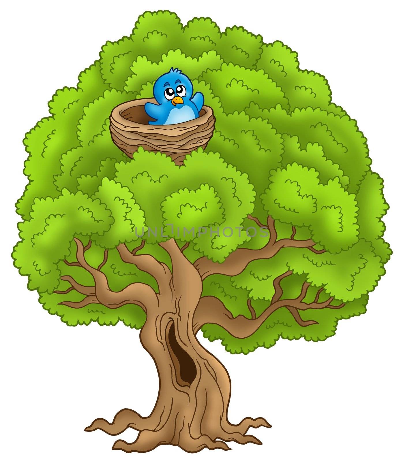 Big tree with blue bird in nest by clairev