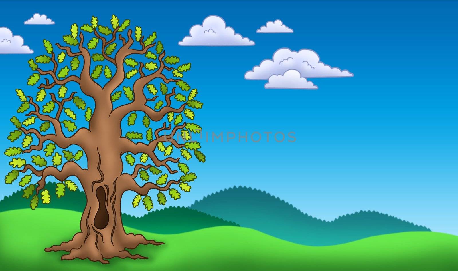 Landscape with oak tree - color illustration.