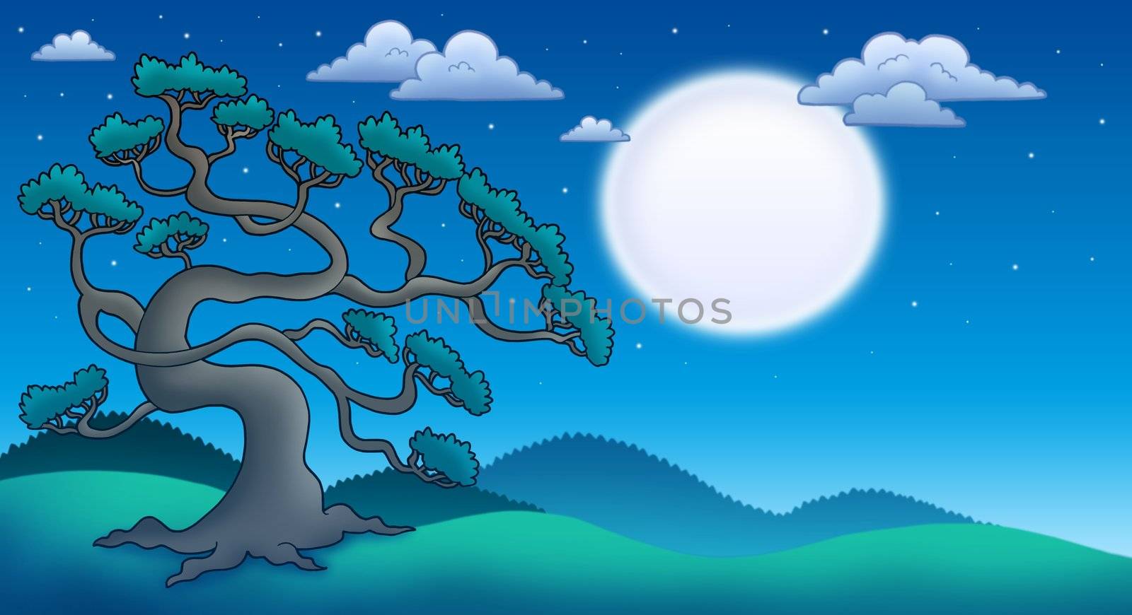 Night landscape with old pine tree - color illustration.