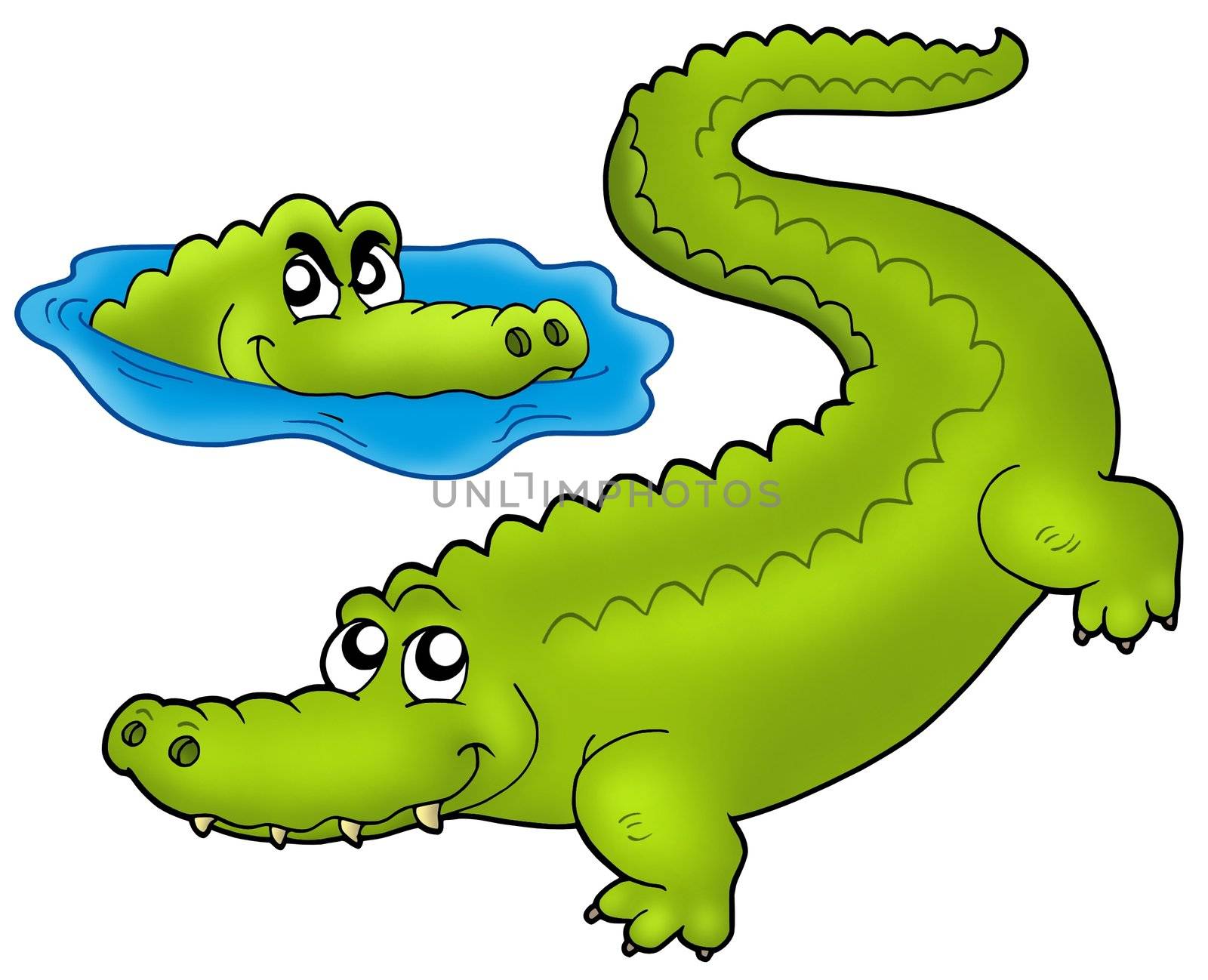 Pair of cartoon crocodiles - color illustration.