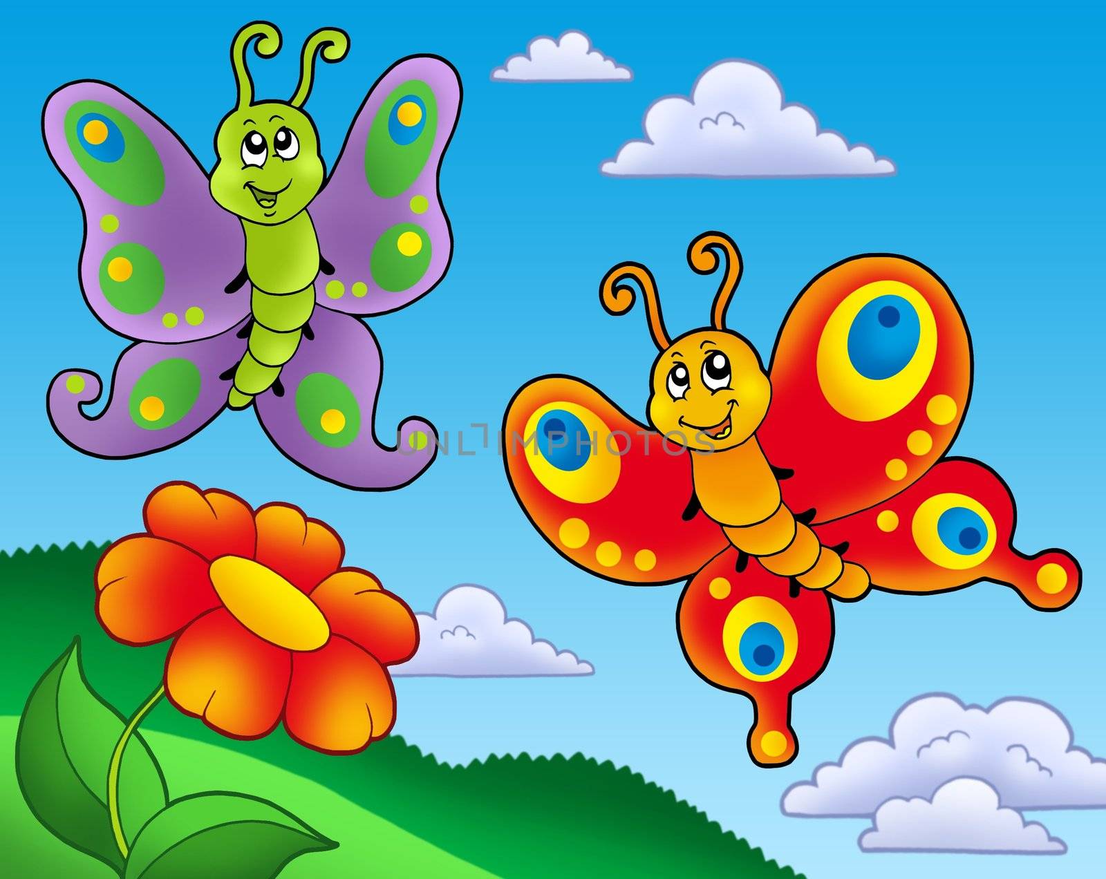 Two butterflies with red flower - color illustration.