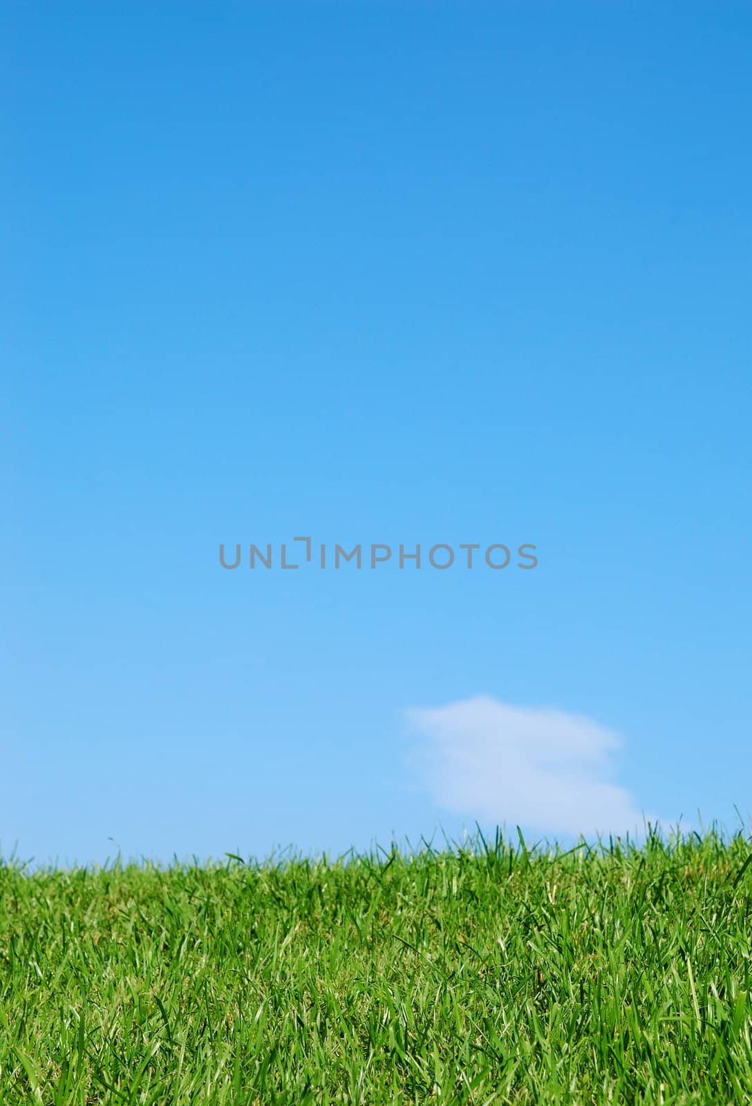 image of real grass on field