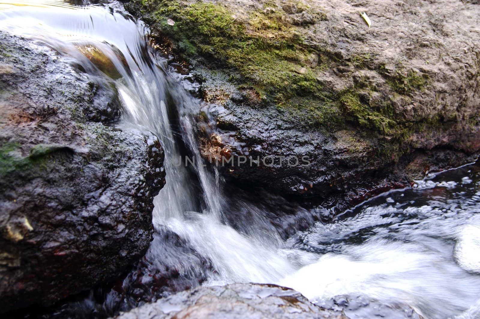 dark wet stone in stream of water