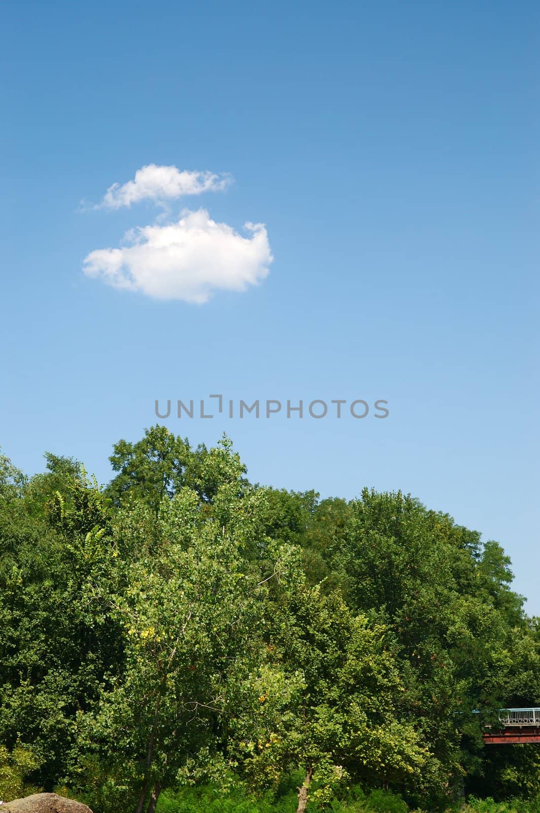 Beautiful fluffy cloud on blue sky