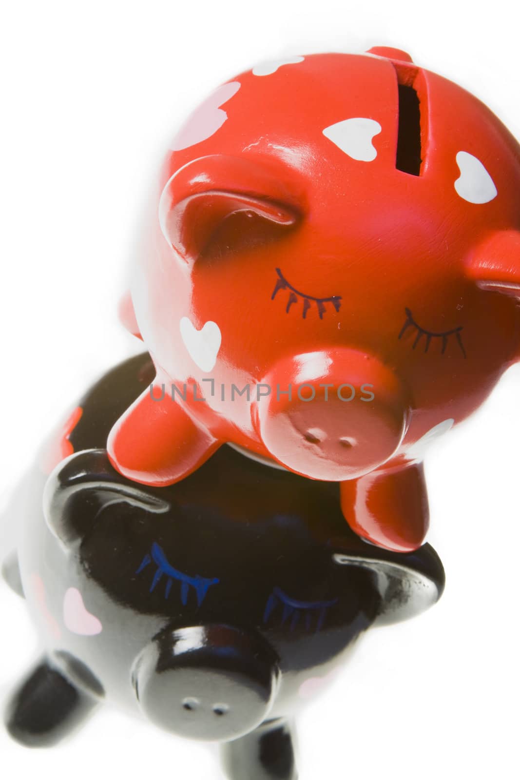 Couple of pigs moneyboxes isolated on a white background.
