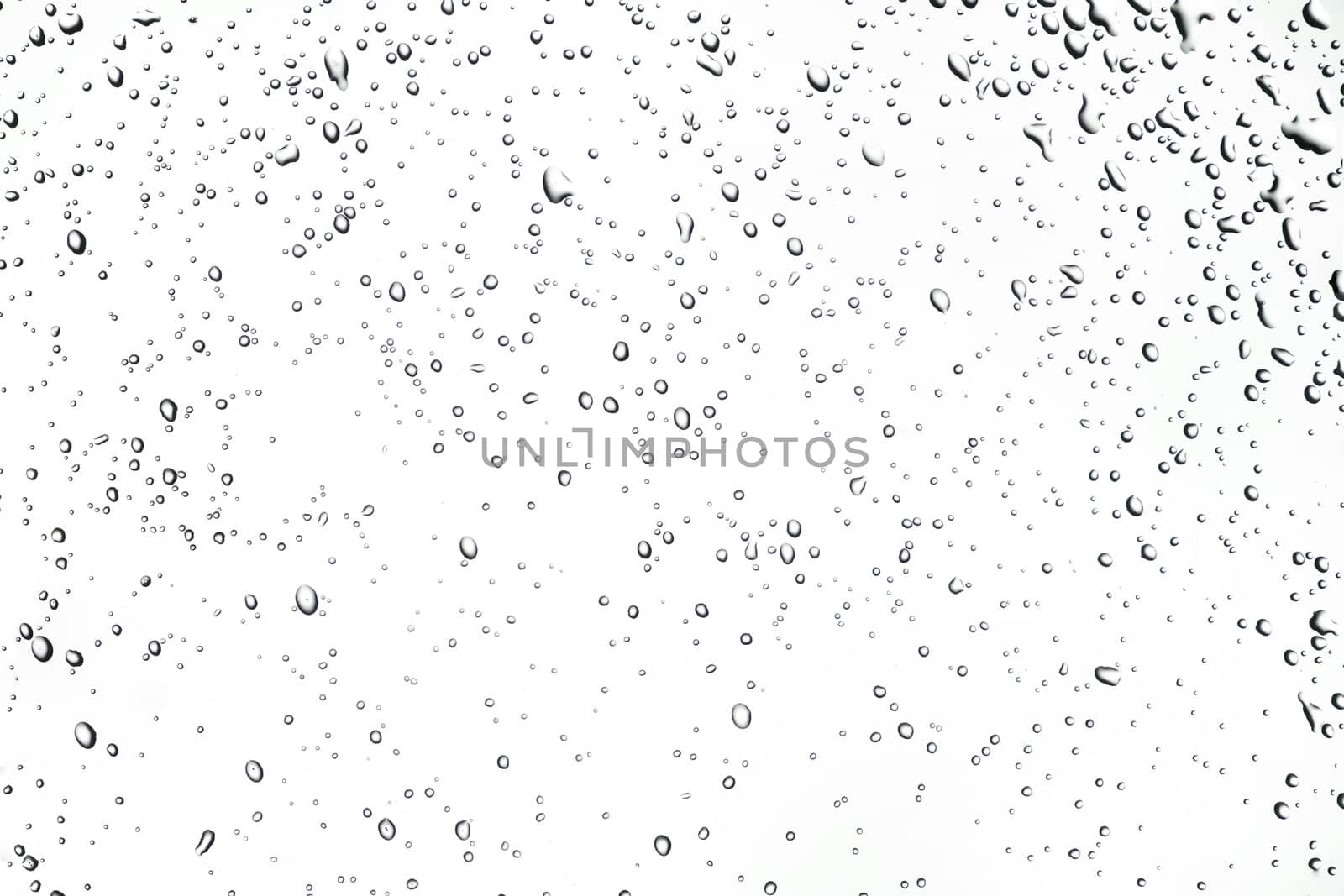 Rain Drops or dew by Gjermund