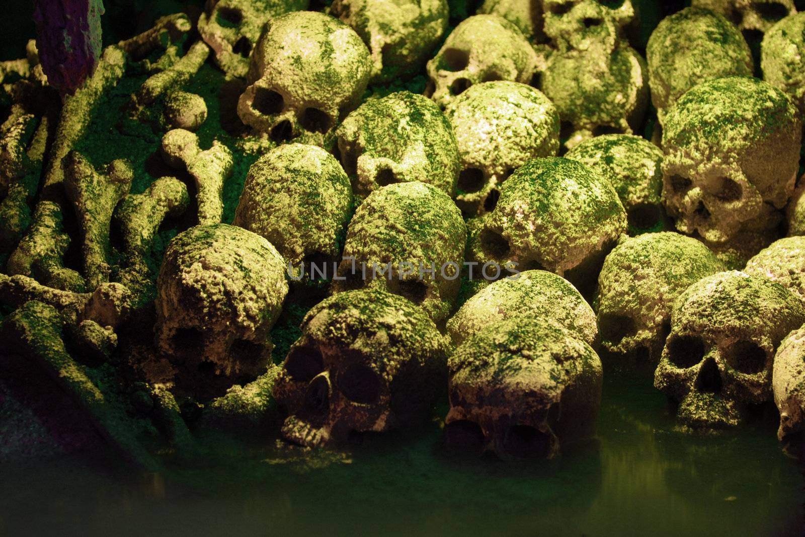 Human sculls, bones and skeletons in green mist