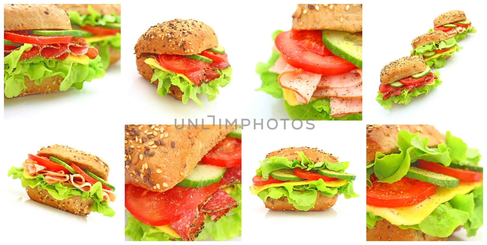Collage of many different fresh sandwichs with cheese or ham