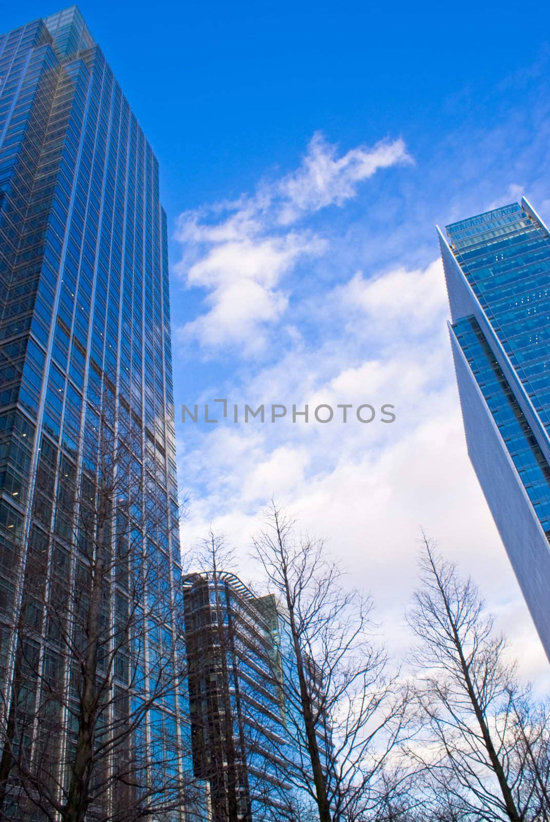Skyscrapers against a blue sky  by fcarucci