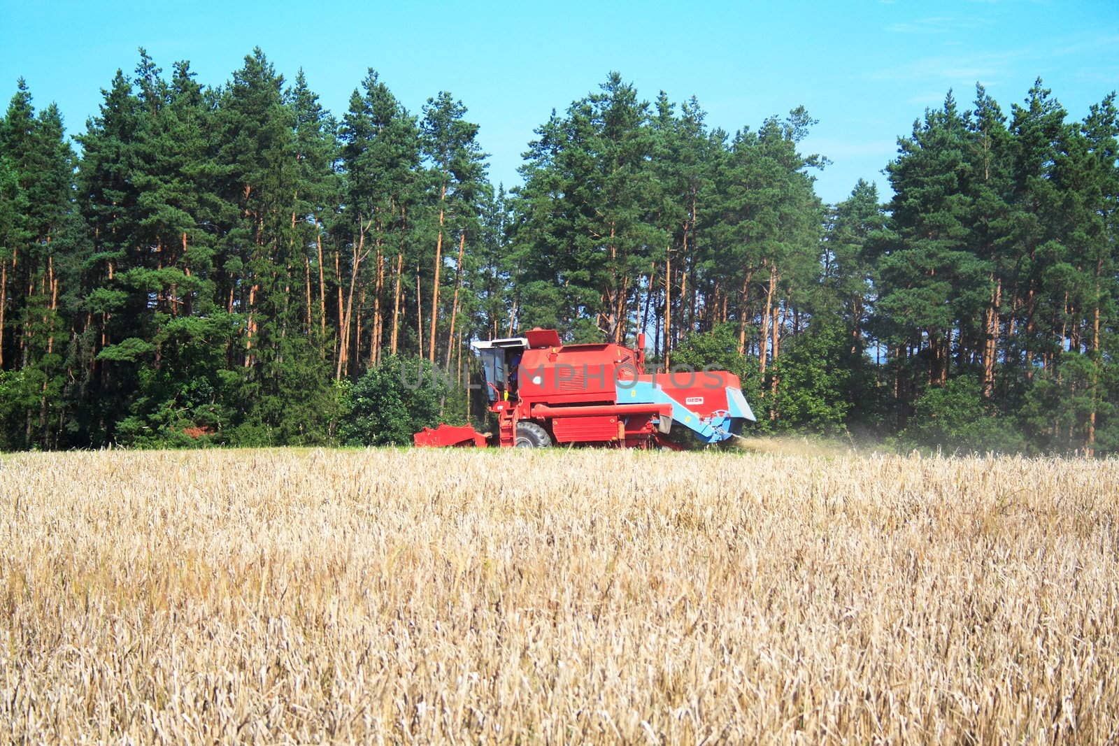 combine harvester by aguirre_mar