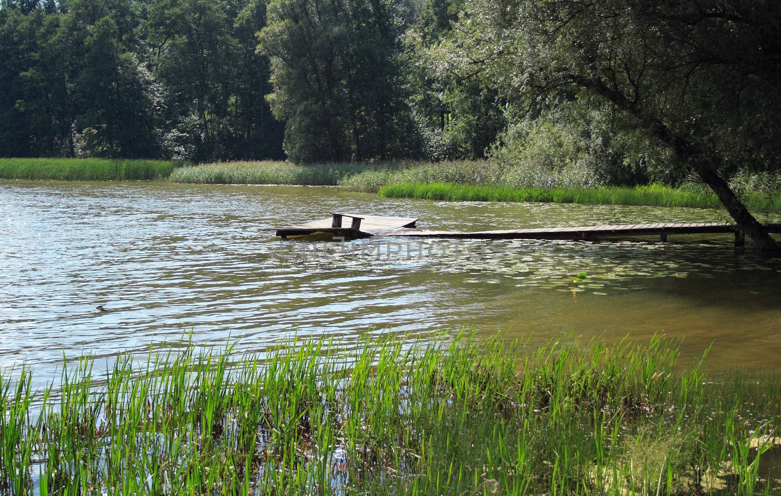 platform at the lake