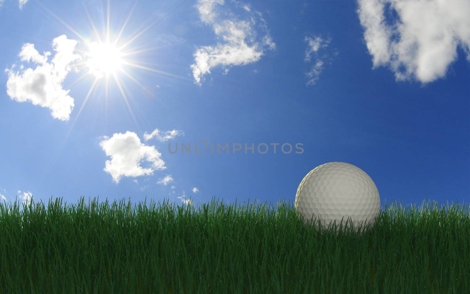Golfball in long grass with evening sun