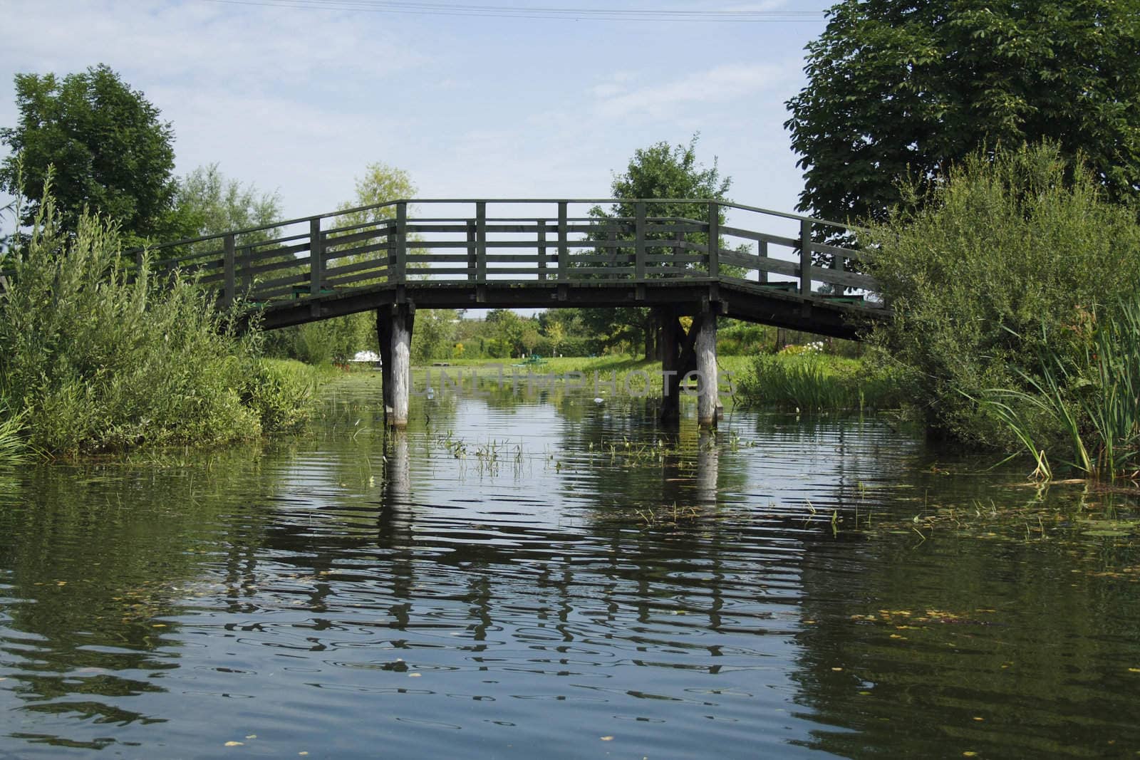 River Bridge