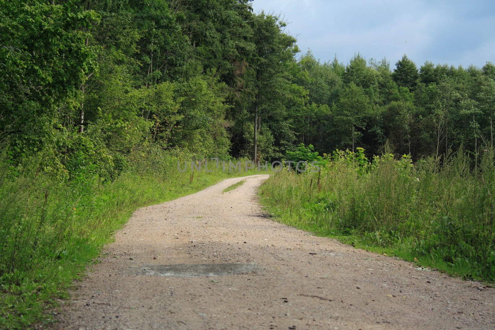 Fields Road by aguirre_mar