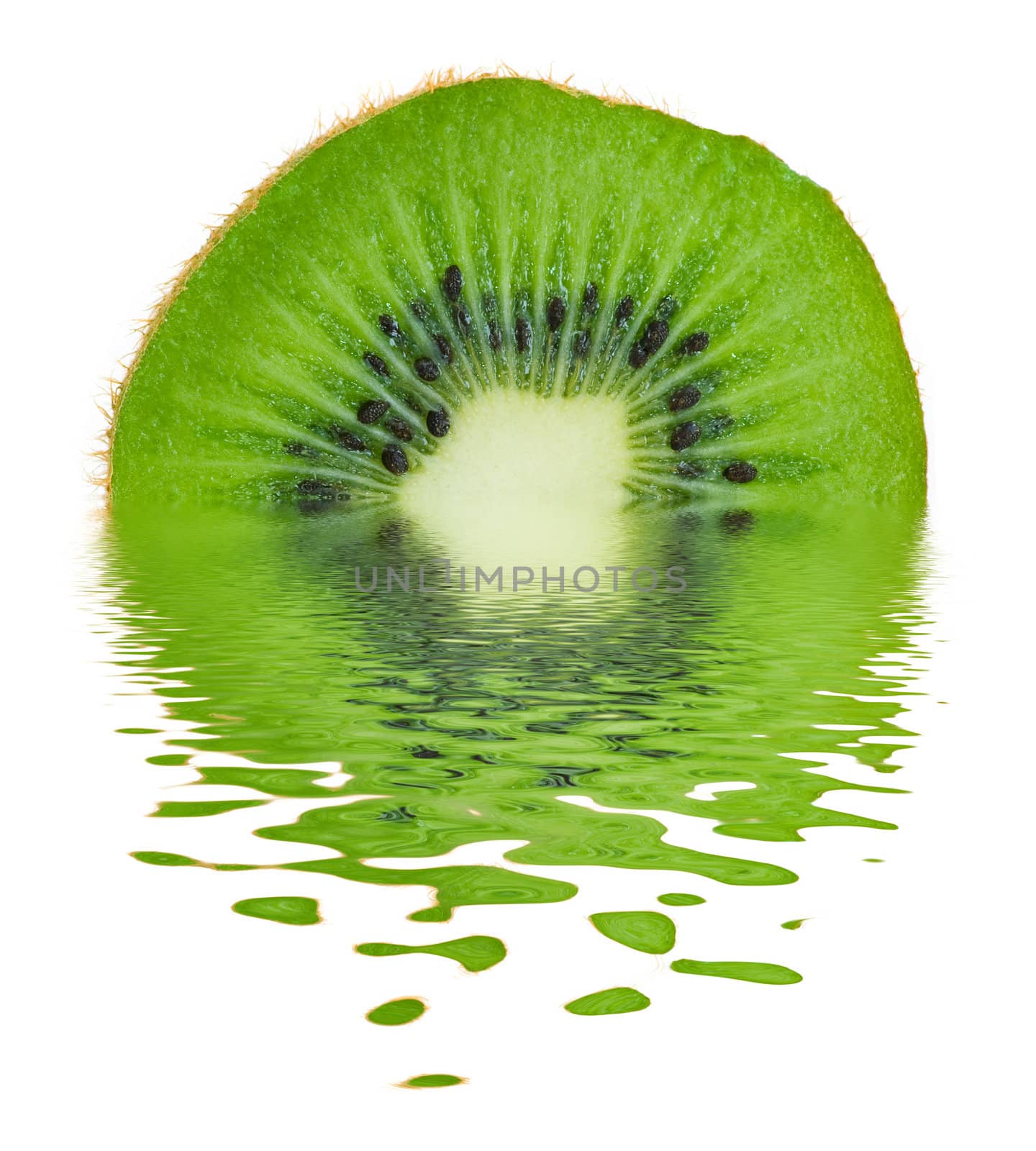 Kiwi on Water by maxkrasnov