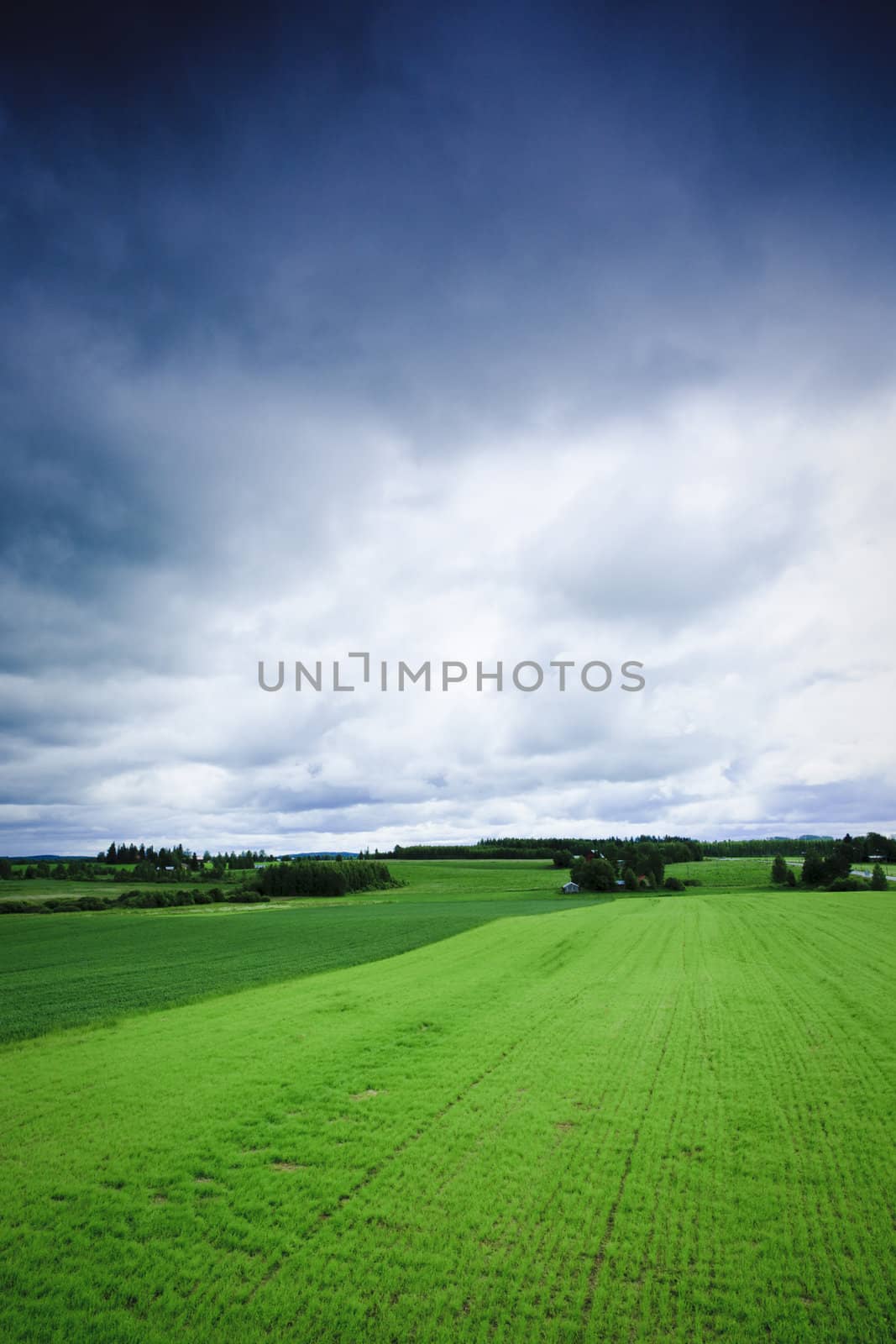 summer field landscape shot from above