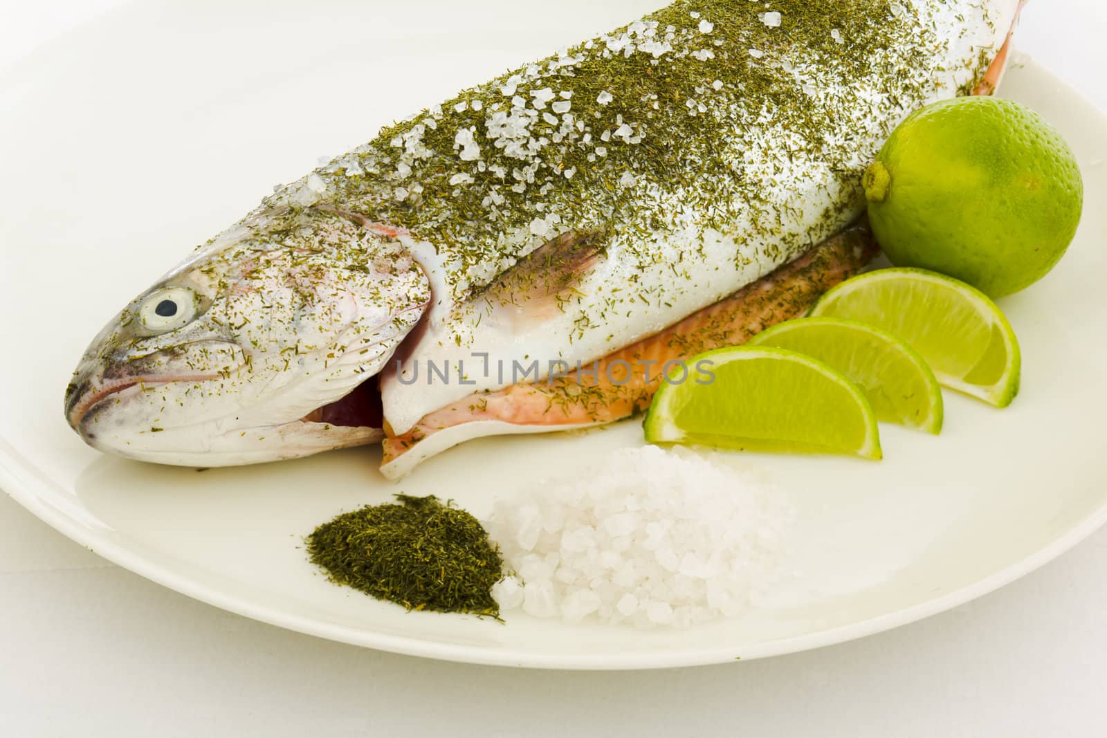 Salmon prepared for warm smoking on the plate with dill, sea salt and lime